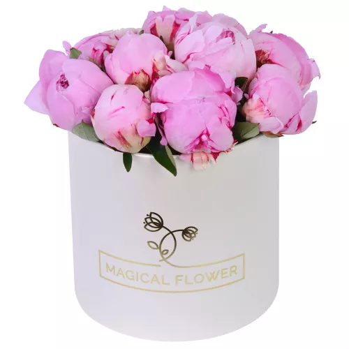 Букет из 11 розовых пионов в кремовой шляпной коробке