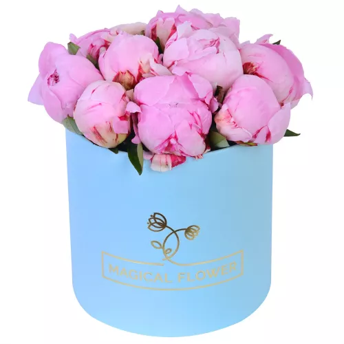 Букет из 11 розовых пионов в упаковке в голубой шляпной коробке