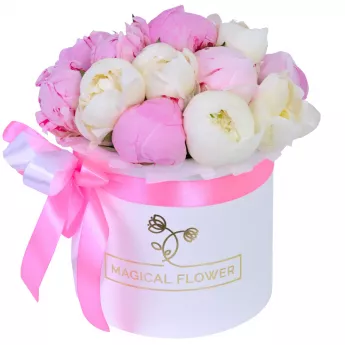 Букет из 11 разноцветных пионов в белой шляпной коробке