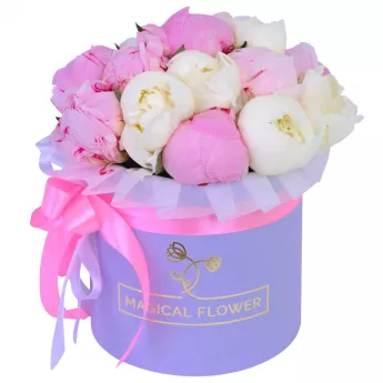 Букет из 11 разноцветных пионов в фиолетовой шляпной коробке