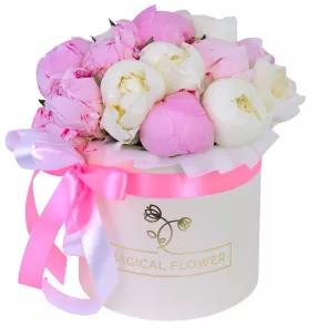 Букет из 11 разноцветных пионов в кремовой шляпной коробке