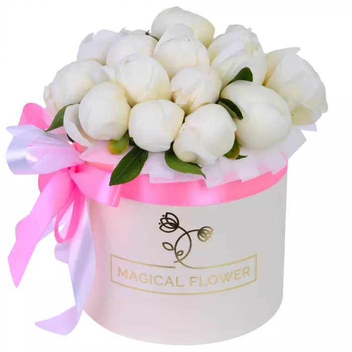 Букет из 15 белых пионов в кремовой шляпной коробке