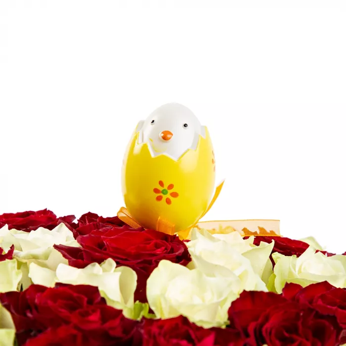 Ципленок на вставке Ципленок на вставке