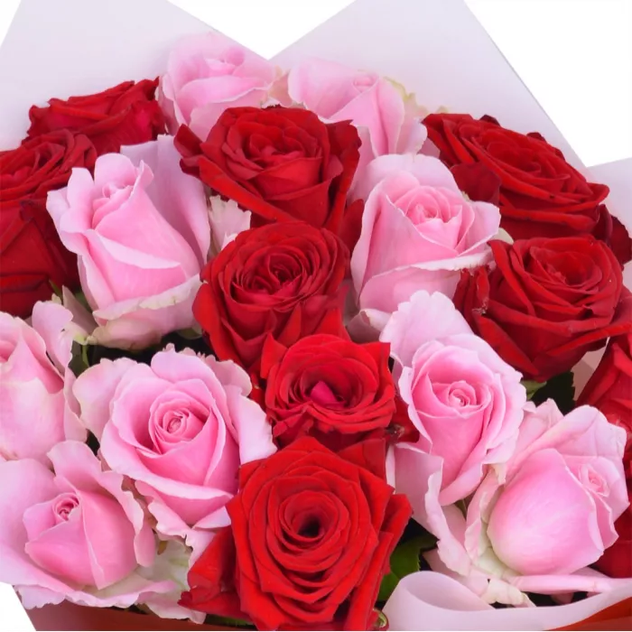 19 разноцветных роз premium 40 см