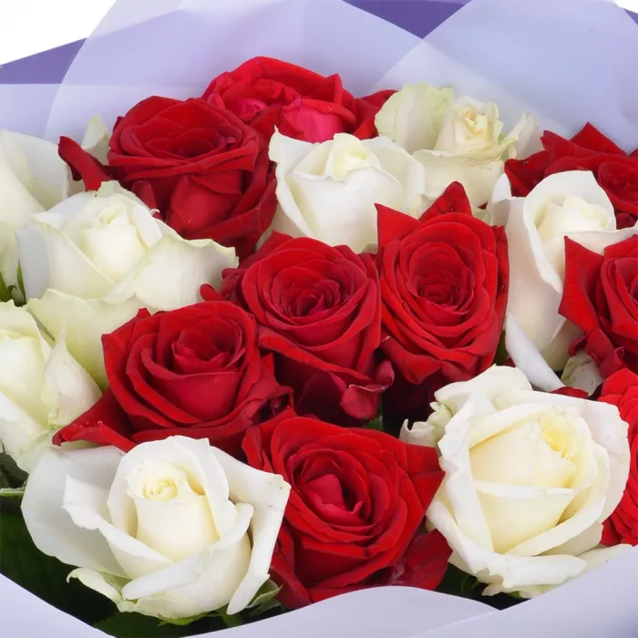 19 красных и белых роз premium 40 см