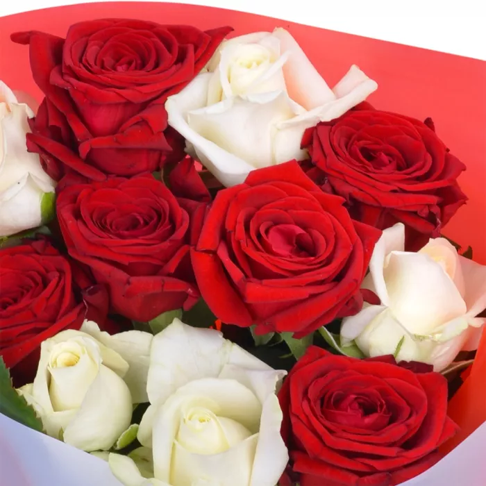 11 разноцветных роз premium 40 см