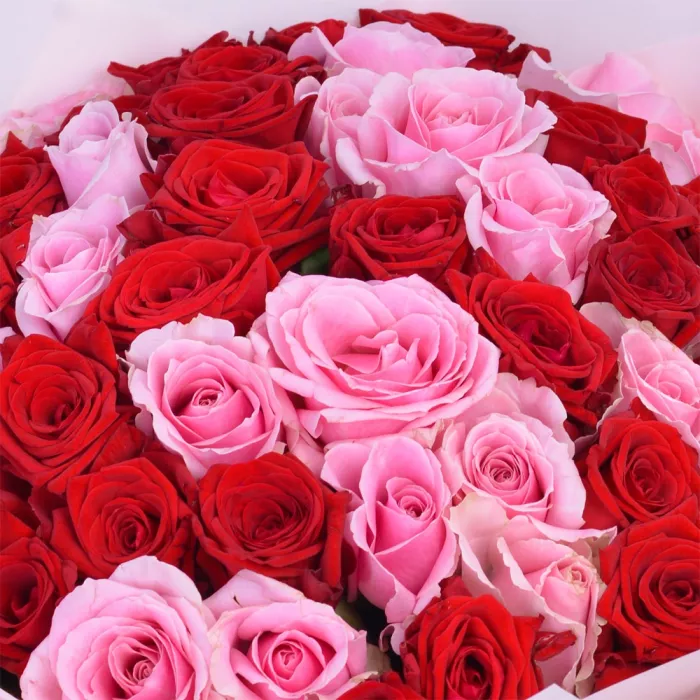 Букет из 51 разноцветной розы premium 40 см