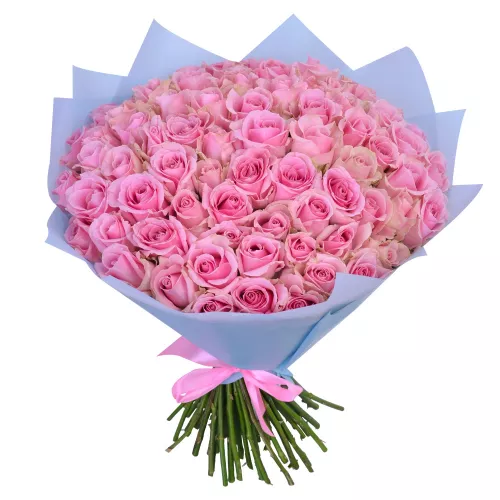 75 розовых роз Premium 40 см