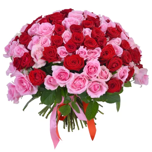 Букет из 101 красных и розовых роз Premium 40 см