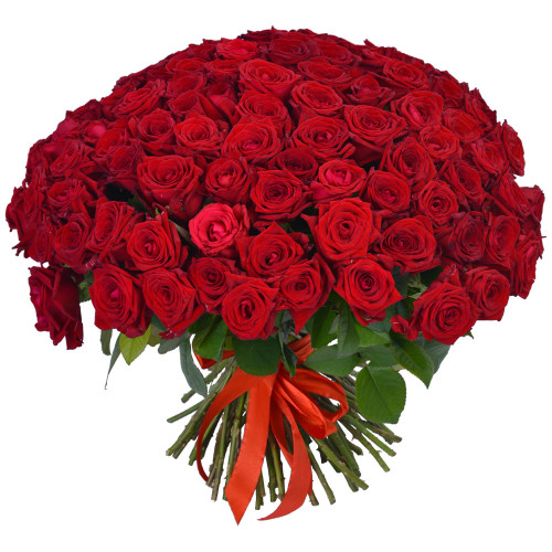 Монобукет из 101 красных роз Premium 40 см