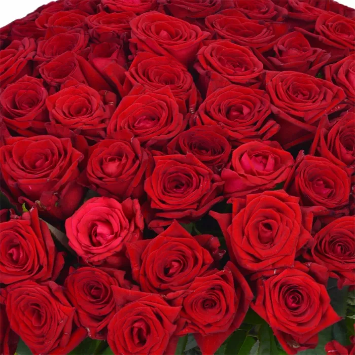 Букет из 101 красных роз Premium 40 см