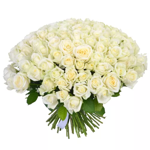 Монобукет из 101 белой розы Premium 40 см