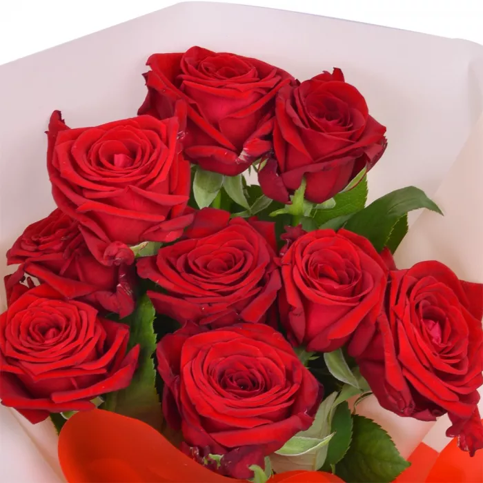 Букет из 9 красных роз premium 40 см