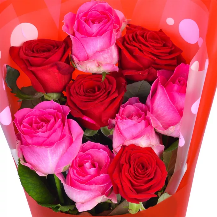 9 разноцветных роз 60 см