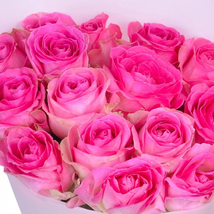 15 розовых роз 50 см
