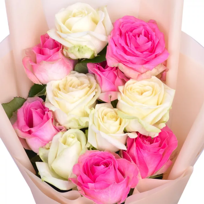 11 разноцветных роз 50 см в пленке