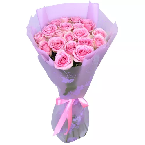 19 розовых роз 60 см в пленке