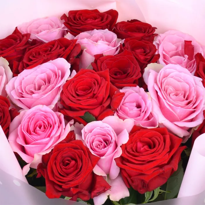 21 разноцветная роза premium 60 см