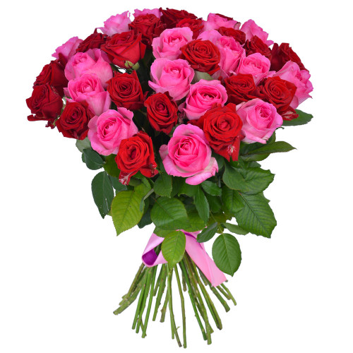 25 разноцветных роз Premium 50 см