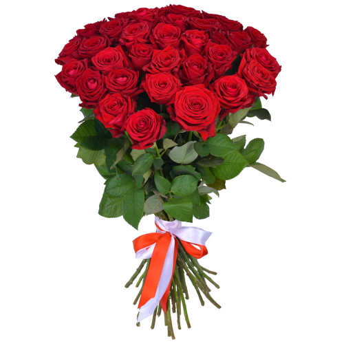 35 красных роз Premium 60 см