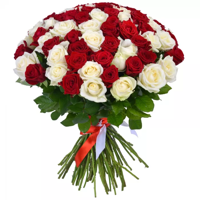 75 разноцветных роз Premium 60 см