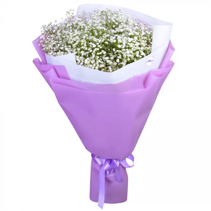 11 белых гипсофил