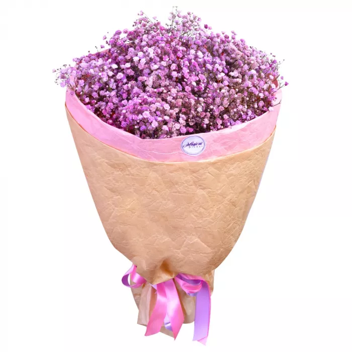 Букет из 7 фиолетовых гипсофил