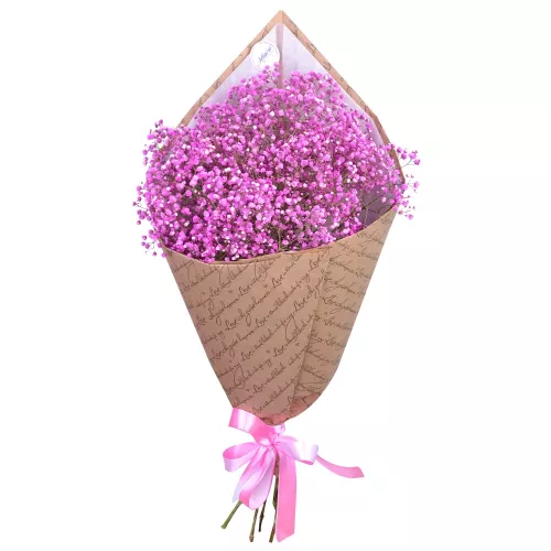 Букет цветов из 7 розовых гипсофил в упаковке