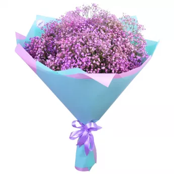 Букет из 15 фиолетовых гипсофил