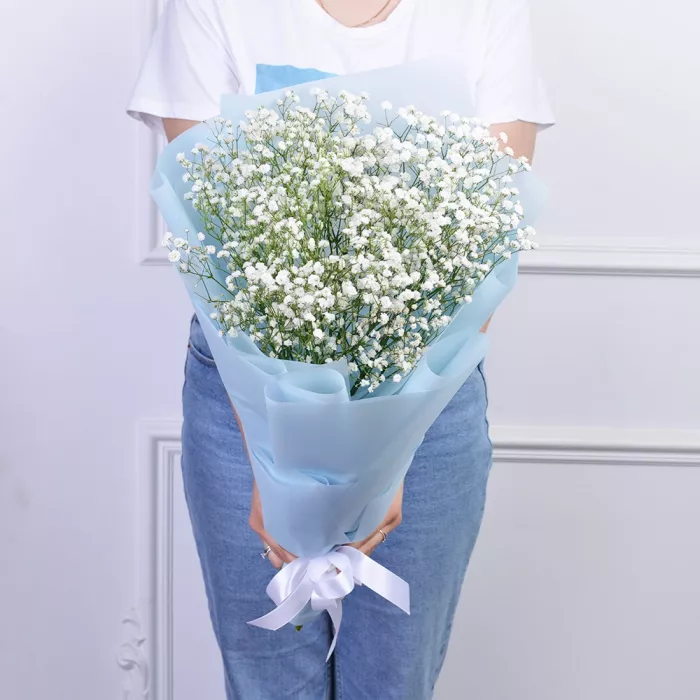 Букет из 5 белых гипсофил