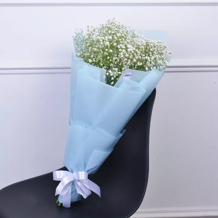 Букет из 5 белых гипсофил