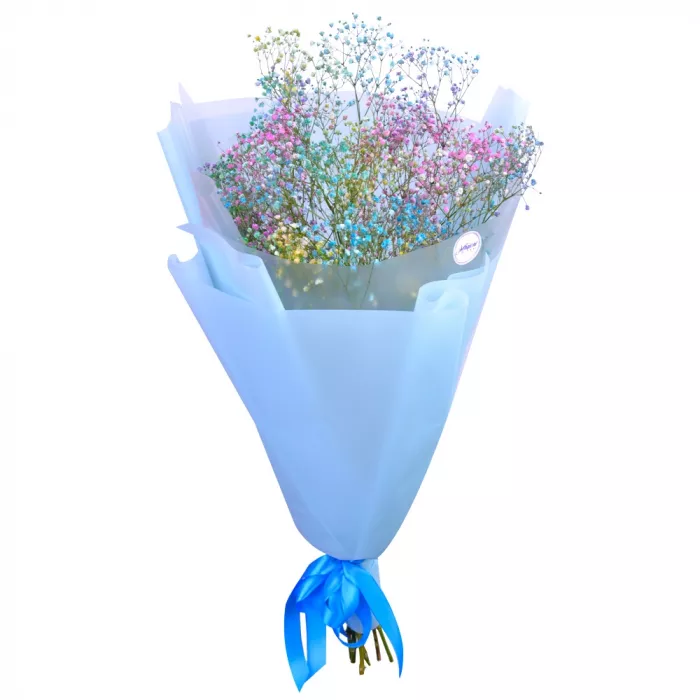 Букет из 7 радужных гипсофил