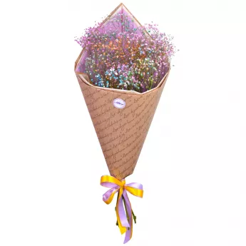 Букет из 5 радужных гипсофил