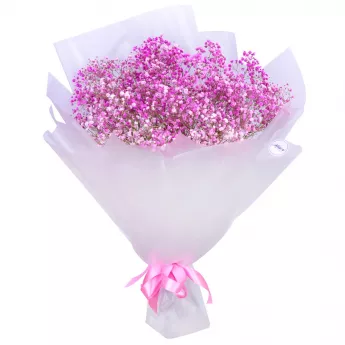 9 розовых гипсофил