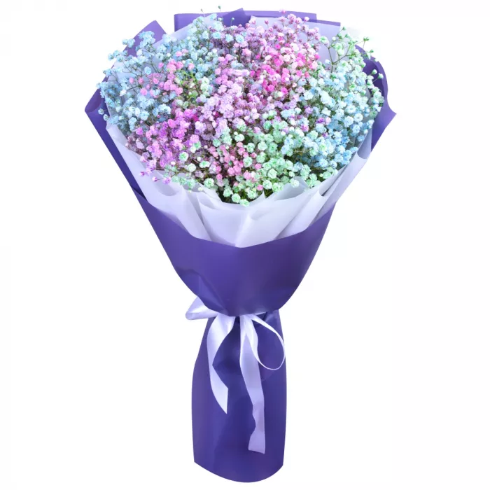 7 разноцветных гипсофил