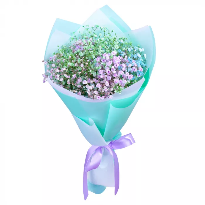 3 разноцветные гипсофилы