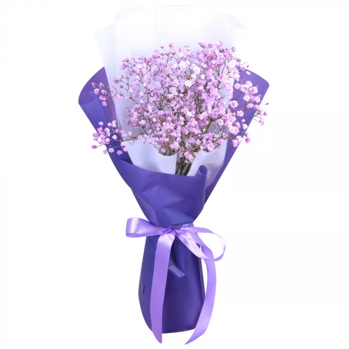 3 фиолетовые гипсофилы