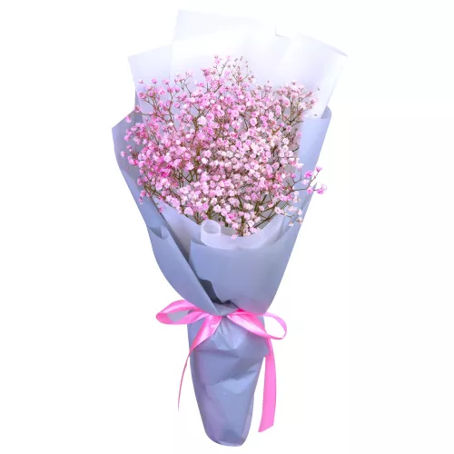 3 розовые гипсофилы