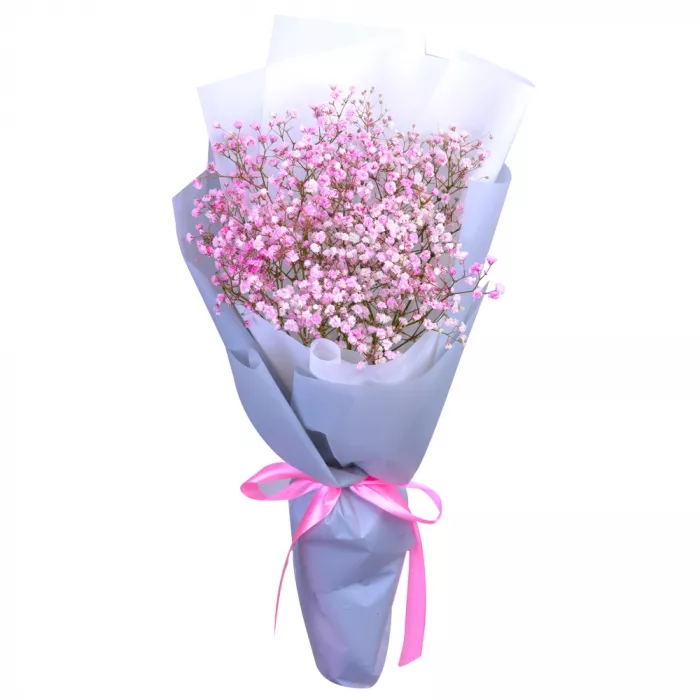 3 розовые гипсофилы 3 розовые гипсофилы