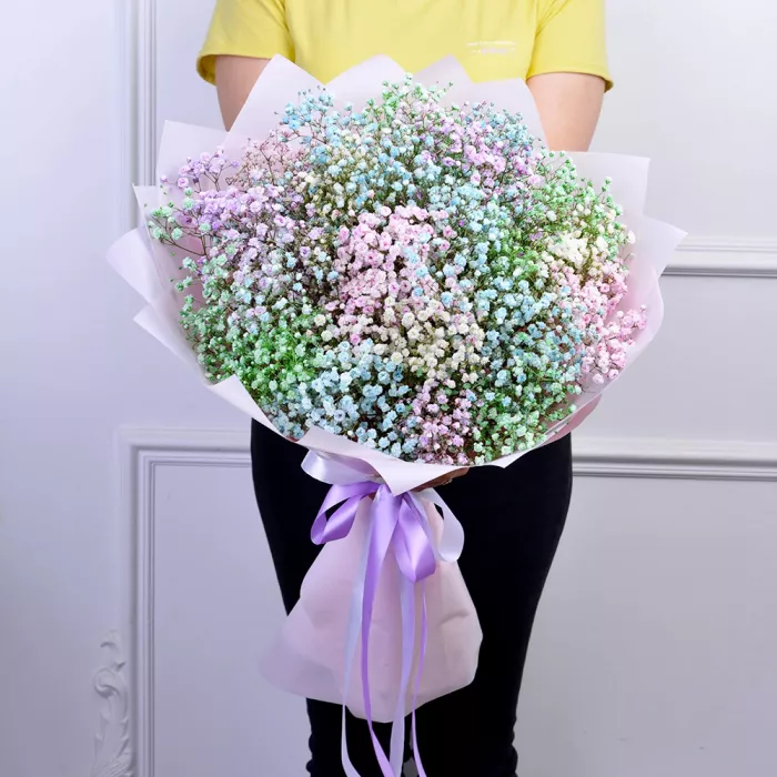 19 разноцветных гипсофил