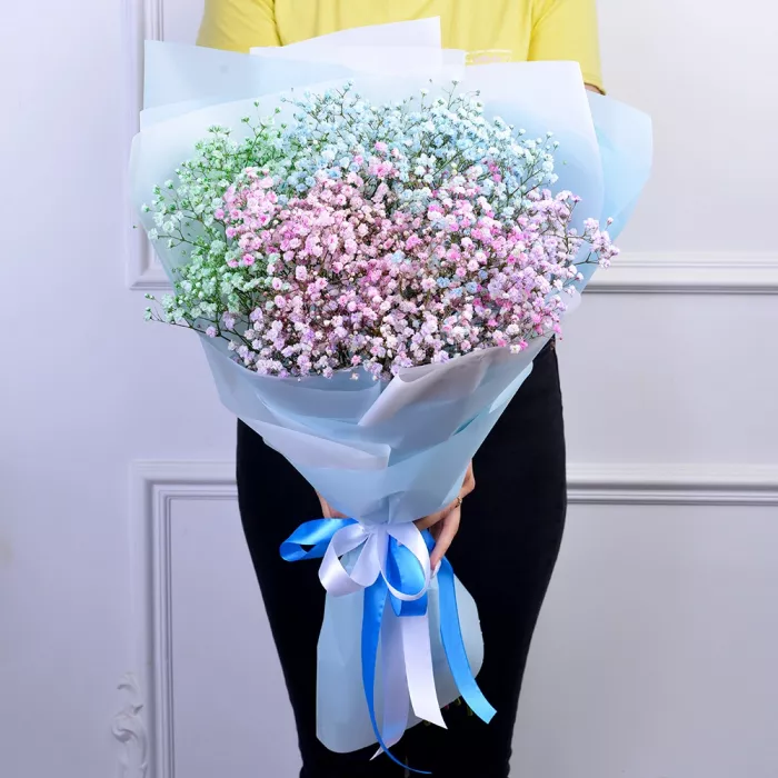 Букет из 9 разноцветных гипсофил