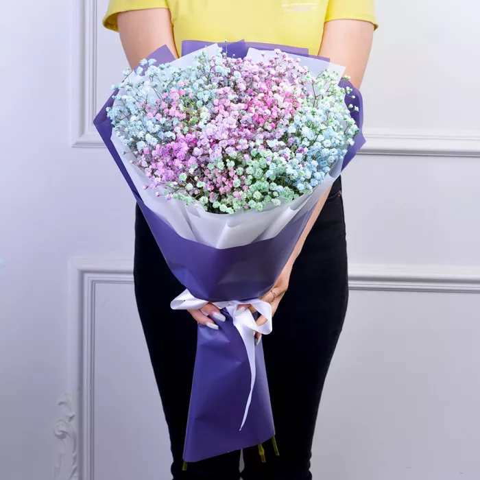 7 разноцветных гипсофил