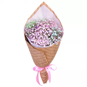 Букет из 5 разноцветных гипсофил