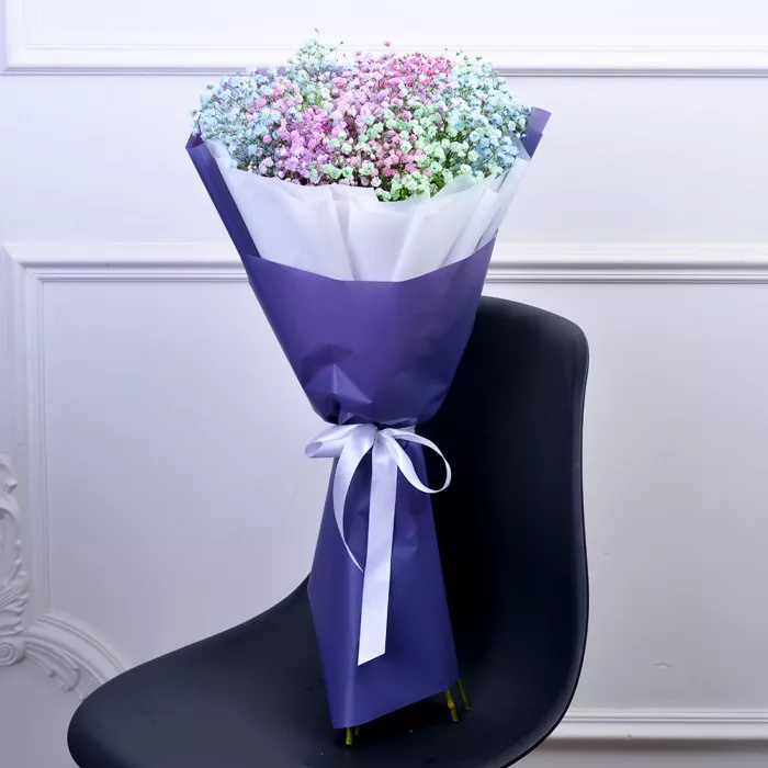 7 разноцветных гипсофил