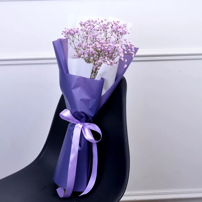 3 фиолетовые гипсофилы