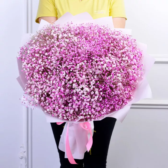 Букет из 35 розовых гипсофил