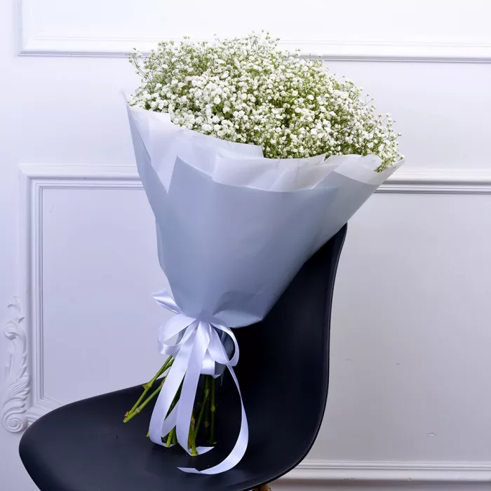 Букет из 25 белых гипсофил