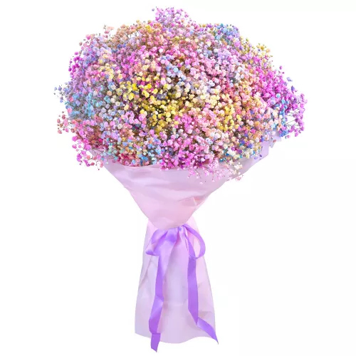 Букет цветов из 25 разноцветных гипсофил