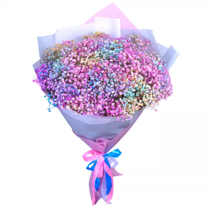 21 разноцветная гипсофила