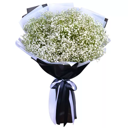 Букет из 35 белых гипсофил